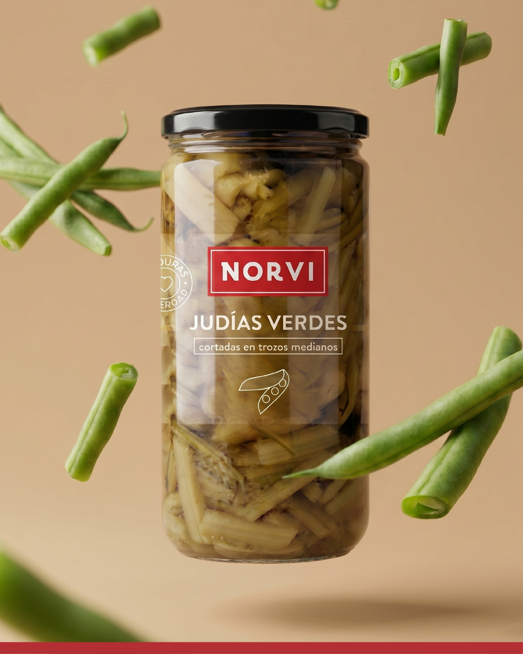 Branding de Norvi por Koolbrand