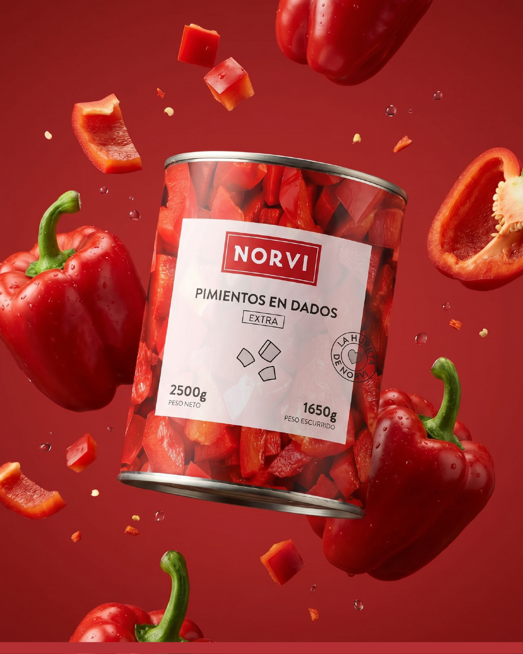 Branding de Norvi por Koolbrand