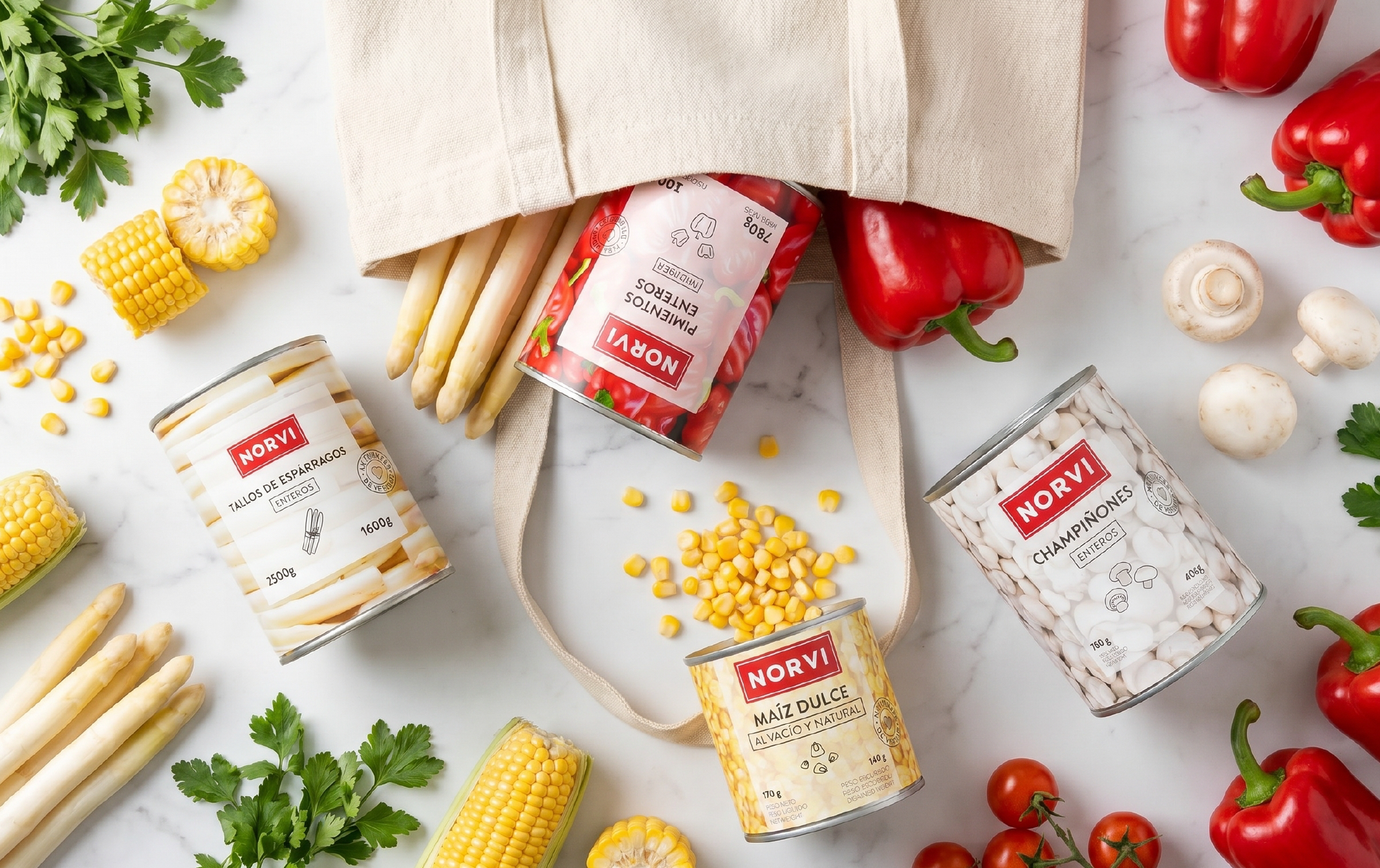 Branding de Norvi por Koolbrand